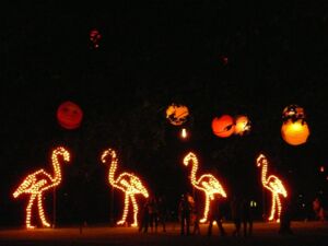 Flamingos aus Lichtern